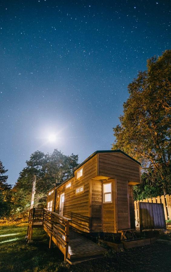 Umpqua'S Last Resort - Wilderness Cabins, Rv Park & Glamping Idleyld Park Eksteriør billede