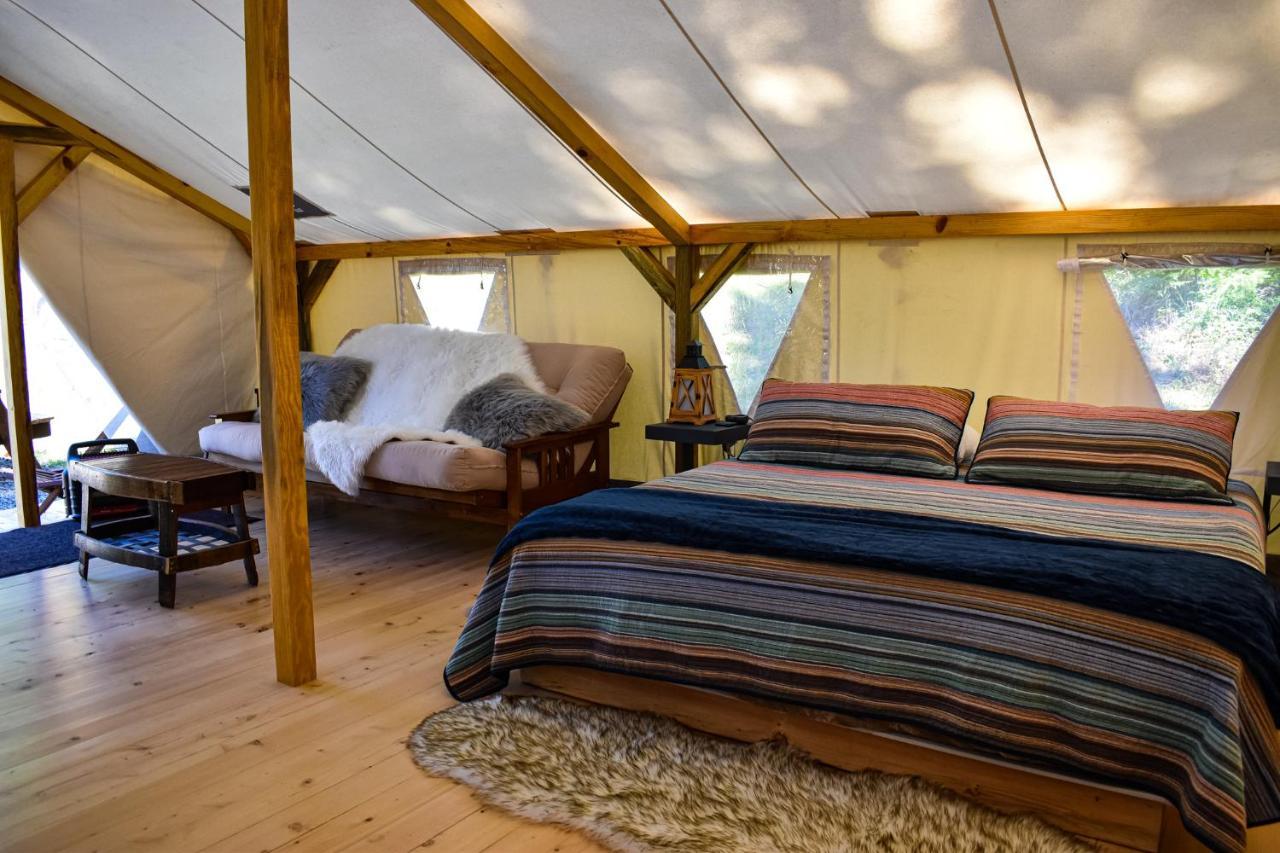 Umpqua'S Last Resort - Wilderness Cabins, Rv Park & Glamping Idleyld Park Eksteriør billede