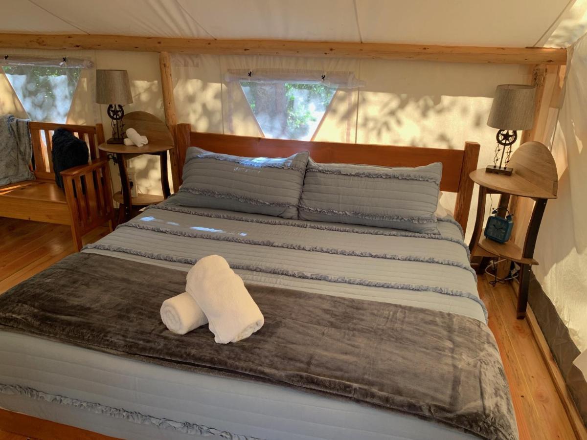 Umpqua'S Last Resort - Wilderness Cabins, Rv Park & Glamping Idleyld Park Eksteriør billede